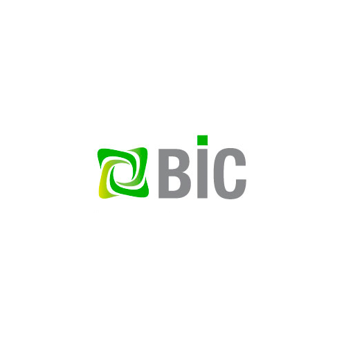 BIC Services